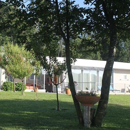 Manuel Tiago Pereira Villa Braga Exteriör bild
